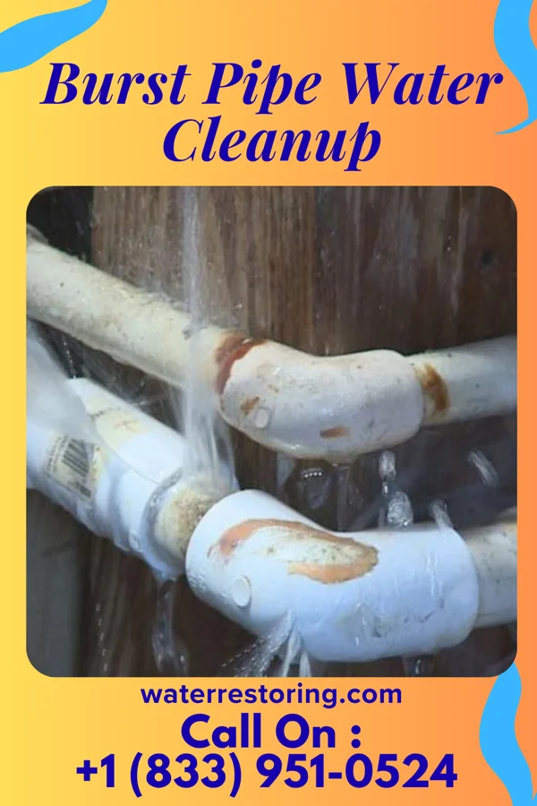Burst Pipe Water Cleanup in South Canal, OH
