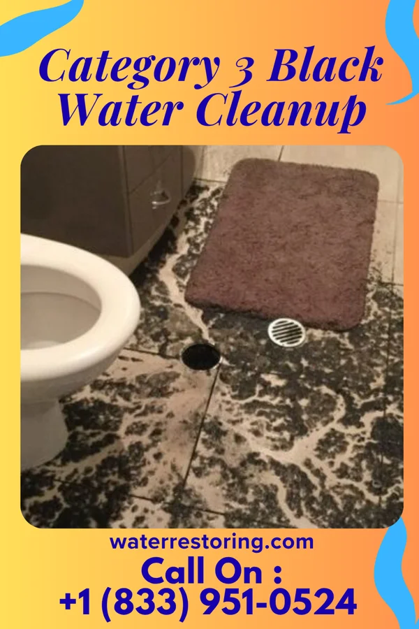 Category 3 Black Water Cleanup in South Canal, OH