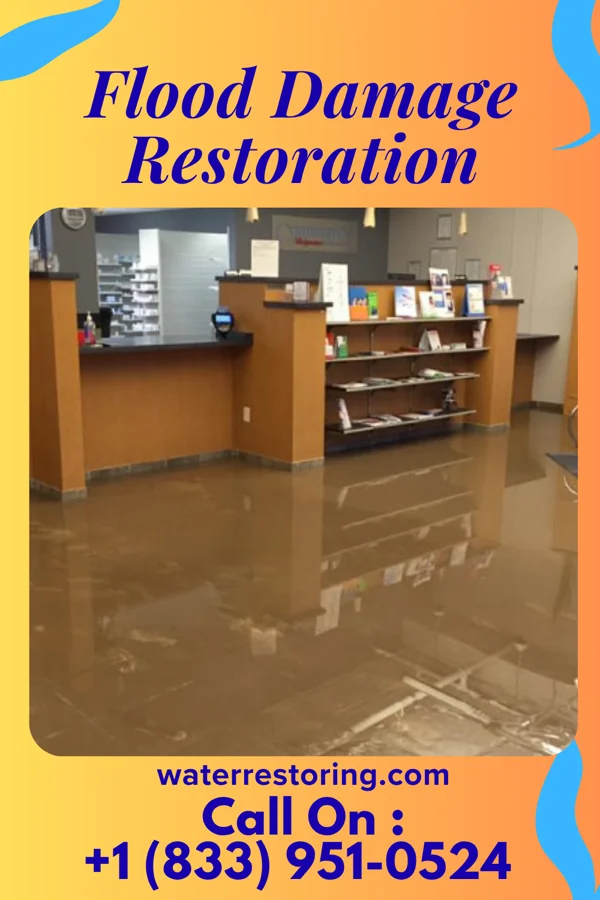 Flood Damage Restoration in South Canal, OH