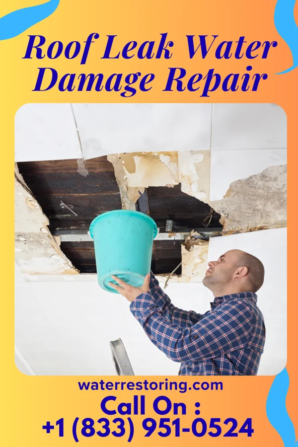 Roof Leak Water Damage Repair in South Canal, OH