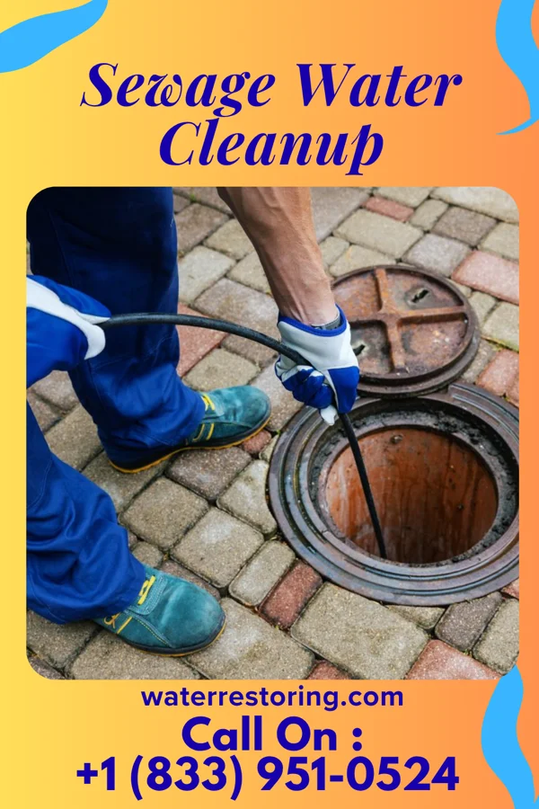 Sewage Water Cleanup in South Canal, OH