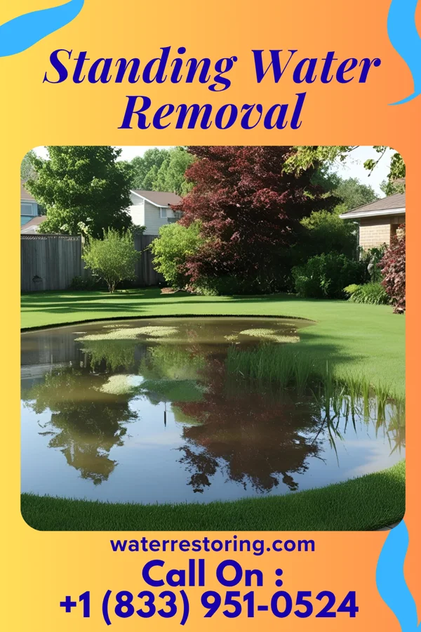 Standing Water Removal in South Canal, OH